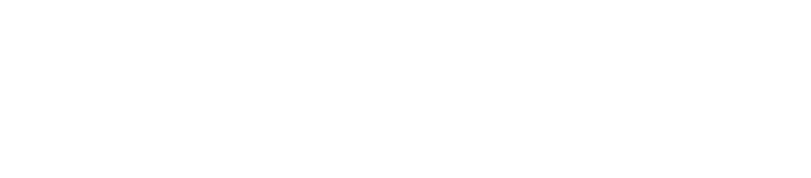 nobody's ERDE Logo